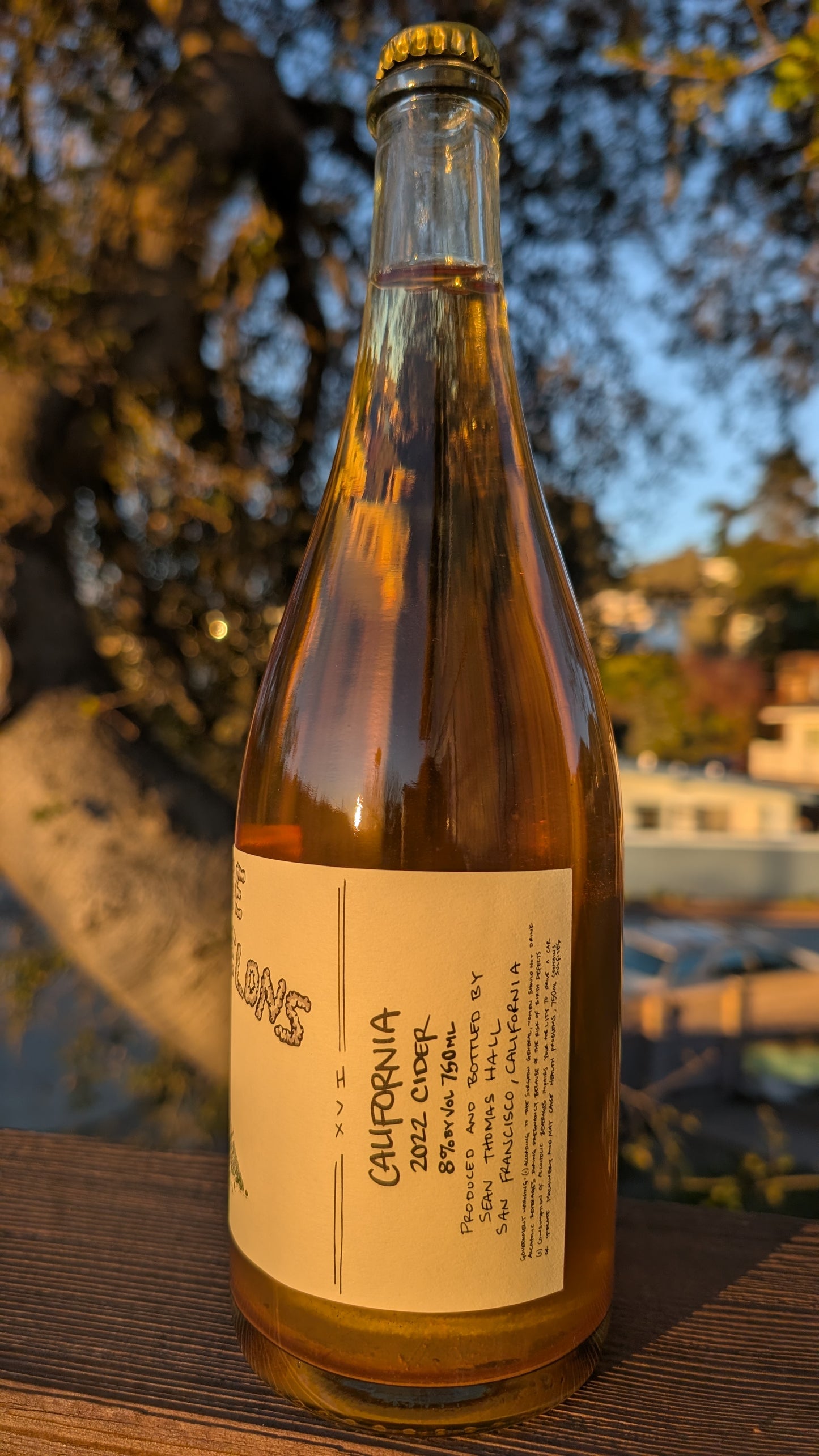 22' Hire More Felons Cider