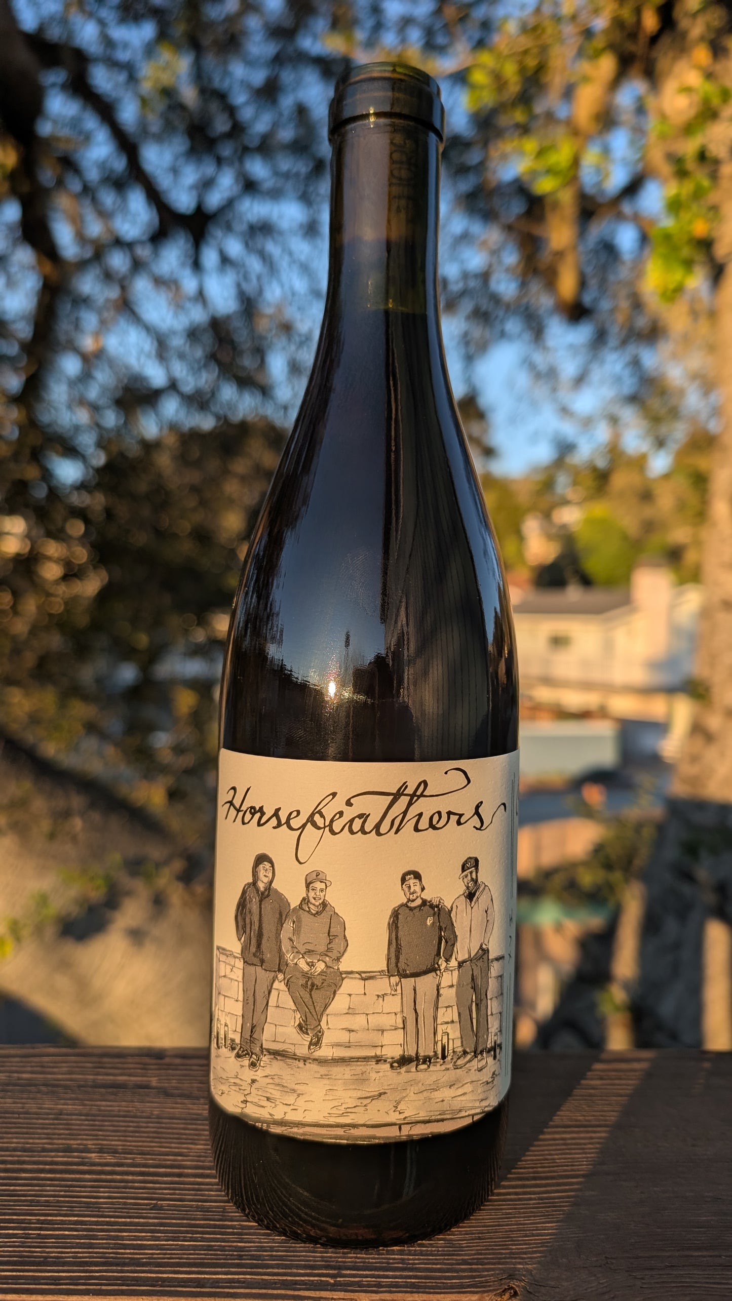 2020 Pinot Noir — Mariah Vineyard, Mendocino Ridge