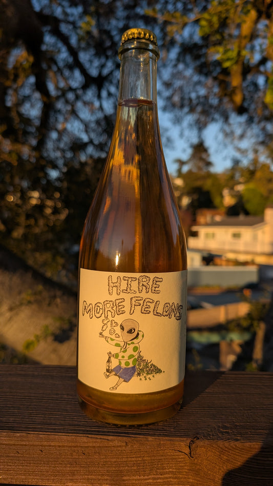 22' Hire More Felons Cider
